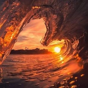 Meet your Posher, Viva